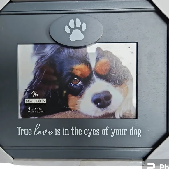 Dog Frame "True Love Is In The Eyes Of Your Dog" Picture Frame 3.5x5 - Picture 2 of 5